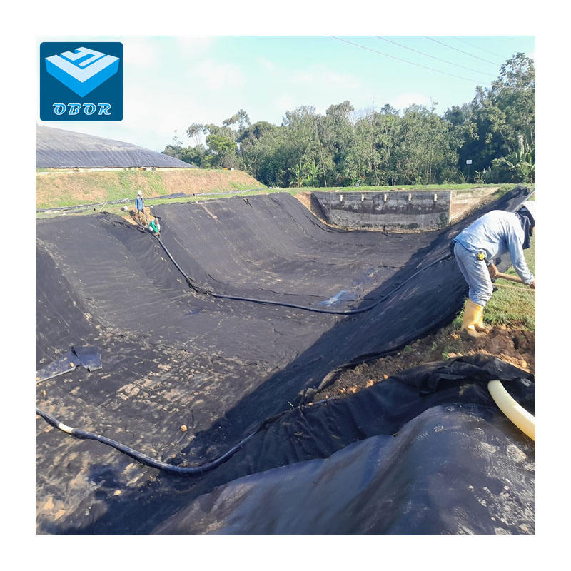 Geosynthetic System Flexible Pond Liner Waterproof Geomembrane for Artificial Landscape Lakes in Sri-lanka Composite Liner