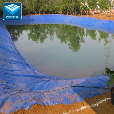 Blue Geomembrane Pool Liner
