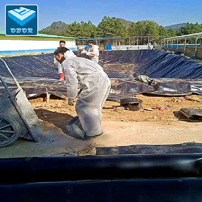 HDPE LDPE LLDPE Geomembrane factory price - Image 1