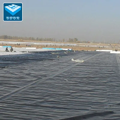 HDPE LDPE LLDPE Geomembrane factory price - Image 2