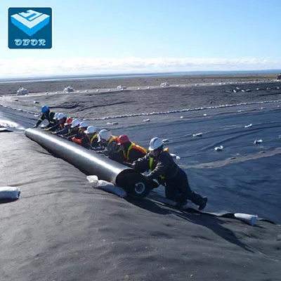 HDPE Geomembrane Good Quality 0.5mm 1.0mm 1.5mm 2.0mm 3.0mm