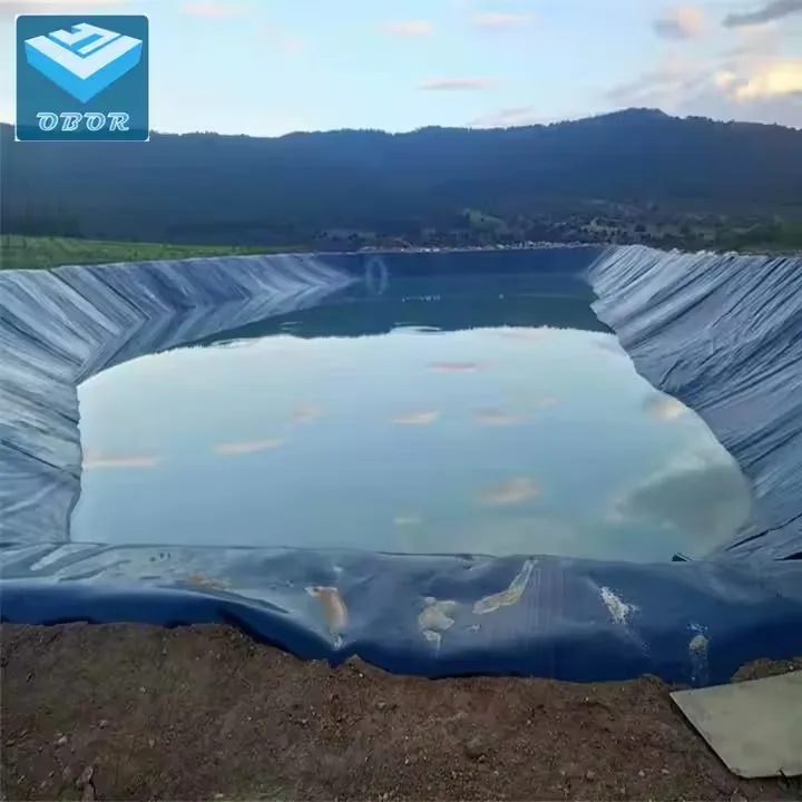 High Valued membrane Sheet Pond Liner Geomembrane - Image 2